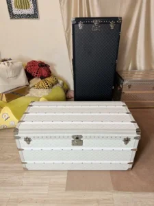 White Coffee Table Trunk