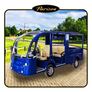 2025 Parison Gas Golf Cart 2 Passenger