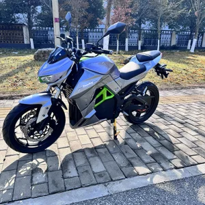 China Best Two-wheeled Electric Bike Model: Constrictor