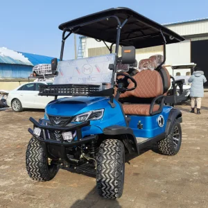 Best Selling in The USA Solar Panel Powered 2 4seater Electric Wagon 60V Independent Suspension off-Road Golf Cart