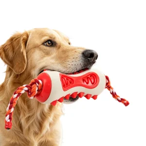 Custom Dental Chew Toy