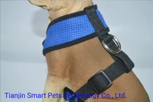 Arnés de seguridad para perros