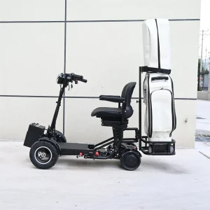 2025 Compact Golf Carts