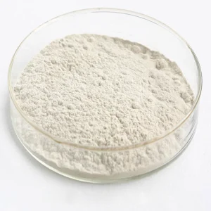 Food Grade Rice Protein Powder 80% For Food Supplement
