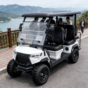 4 Seater Luxury Design Electric Golf Cart Street Legal LSV (Low Speed Vehicle) with Lithium Battery &amp; Off-Road Tires