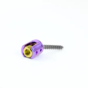 Spinal Pedicle Screws