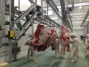 Precise Automatic Weighing System