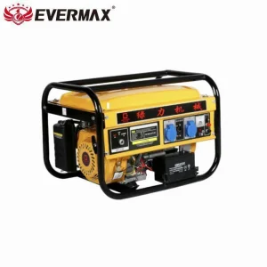 Multi-Fuel 5kw Dual Petrol Generator for Events with GS/Reach