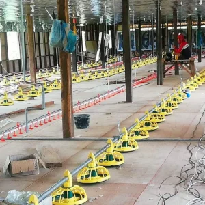 New Design Animal Husbandry Equipment Chicken Feeder and Drinker System