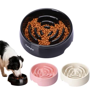 Eco-Friendly Slow Feeder Dog Bowl