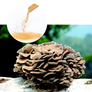 Maitake Mushroom Extract