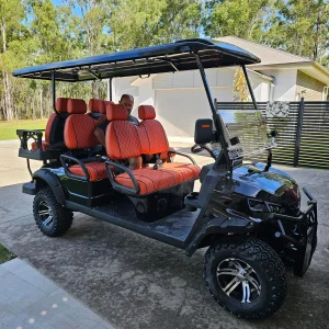 6 Seater Gasoline Golf Cart High Performance