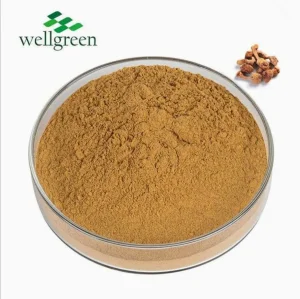 Standardized Oyster Mushroom Extract for Immune &amp; Metabolic Health Support (Pleurotus Ostreatus Extract)