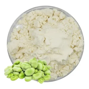 Best Quality Organic Fava Bean Protein