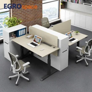 Egrospace Height Adjustable Standing Sit Stand Dual Motor Furniture Electric Automatic Table Ergonomics Office Desk