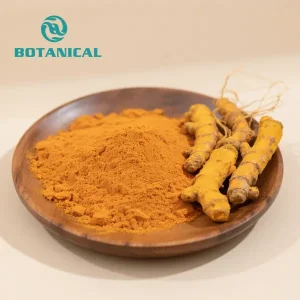 Curcuma Longa Extract