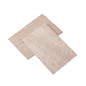 Laminated Marine Plywood