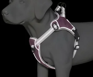Reflective No Pull Pet Dog Harness Easy Walking Dog Harness Collar Lead