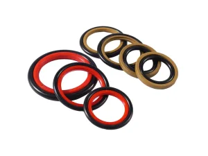ODM Customized Oil Seal