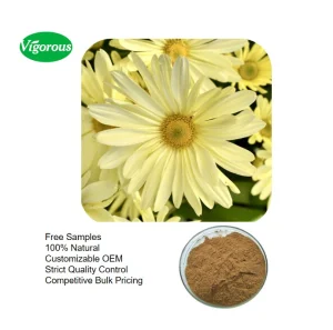 Nutraceutical Ingredient for Supplements Natural Factory Chrysanthemum Extract Powder