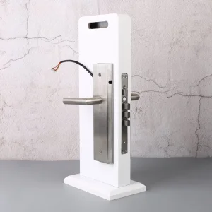 Flexible Authorization Remote Control Real-Time Monitoring Multifunction Smart Door Lock