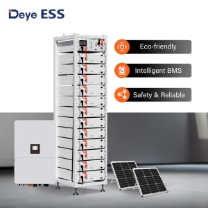 Deye Battery