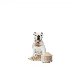 Canine Probiotic Prebiotic Supplement High-Protein