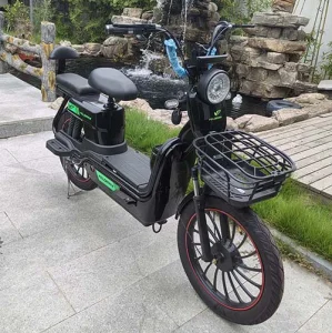 China Wholesale Two-wheeled Electric Bike Model: Big Cattle