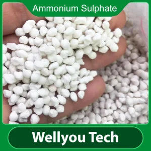 Ammonium Sulphate Granular Fertilizer NPK21-0-0 Nitrogen Fertilizer