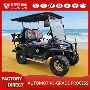 Electric Golf Cart Factory