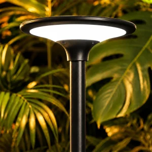Landscape Solar Area Lights