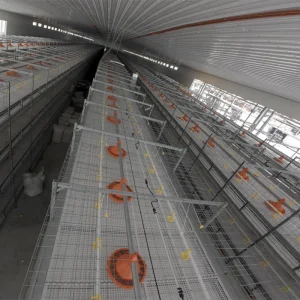 Poultry Farm Equipment Energy Efficient Chicken Coop Broiler Cage Raising System