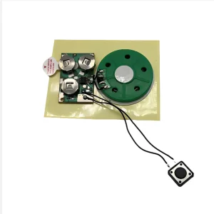 Customized squeezed sound module with push button activated music chip for musical gift