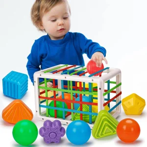 Montessori Sensory Shape Sorter