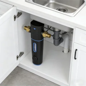 Home Water Filtration System with Manual Flushing Capability