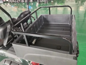 10 Passenger Cart