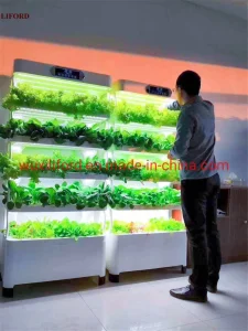 Small Home Complete Vertical Farming LED Lighting Hydroponics Growing System