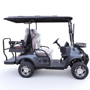 High Quality 60V Electric Street Legal Golf Cart Electric Touring Van with Cargo Box for Carrying Goods Golf Club Compatible