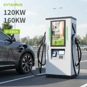 OEM ODM 120kw 160kw CCS Gbt Car Solar EV Charger DC Electric Vehicle Charging Stations