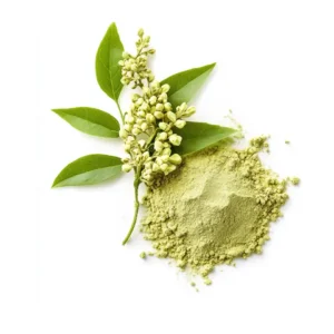 Wholesale Sophora Japonica Extract Quercetin Powder