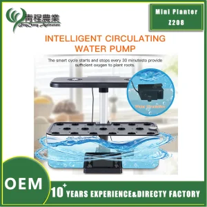 Smart Hydroponic Lettuce Grower with Energy-Efficient LED Lights