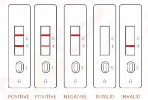 HIV Test Kit