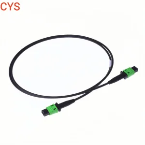 MPO Push Pull MPO Trunk Cable Mt Fiber Array Unit Mt Assembly Osfp Qsfp Aoc Optical Transceiver Data Center Nvidia Low Loss MPO Patchcord