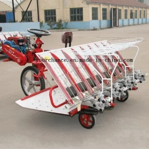 Venta Caliente en India 2z-8238 8 Filas 238mm Ancho Tipo de Conducción Transplantador de Arroz de Alta Calidad y Bajo Precio