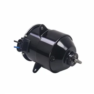 Brush BLDC Electric Hub Baleno Motor