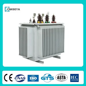Cnkeeya S13 S11 Dry Type Sealed Three Phase Oil Immersed Transformer Distribution Low Loss Power Isolation 10kv 110kVA AC Outdoor Pole-Mounted Transformer