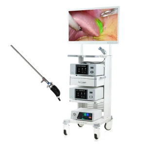 Choledochoscopy Instrument