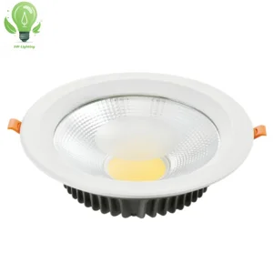 Dali Emergency Downlight