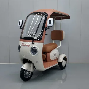 Wholesale China Electric Tricycle DS-11 from Factory: Powerful, Safe & Eco-Friendly for Urban Transport - Suppliers of Quality Vehicles Service, Products