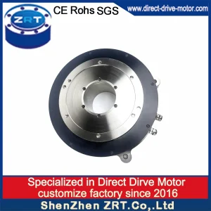 Direct Drive Rotary Motor